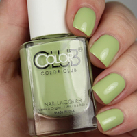 Olive Paris