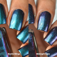 Beetle Wings & Midnight Lake