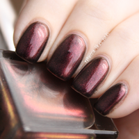 Buckled Bronze | Large 15ml