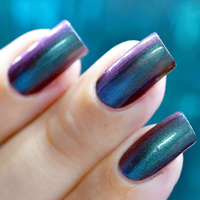 Beetle Wings