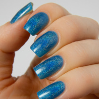 Teal Blue | Large 15ml