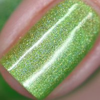 High on Holo