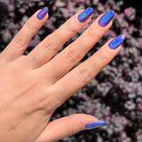 All About Holo