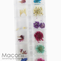 Nail Art Flowers Set #1 - Cornflower Lace