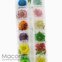 Nail Art Flowers Set #6 - Daisy Lace Leaf