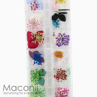 Nail Art Flowers Set #7 - Hydrangea Lace