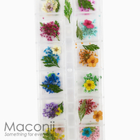 Nail Art Flowers Set #8 - Narcissus Lace Leaf