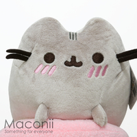Pusheen with Rainbow Plush 24cm