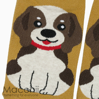 Socks - Beagle Dog