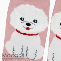 Socks - Bichon Frise Dog