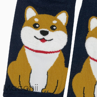 Socks - Shiba Inu Dog