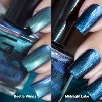 Beetle Wings & Midnight Lake