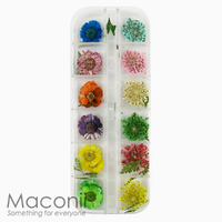 Nail Art Flowers Set #6 - Daisy Lace Leaf