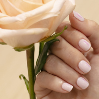 L. 01: Pastel Pink