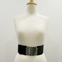 Metallic Stripe Waist Belt