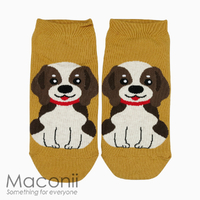 Socks - Beagle Dog