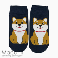 Socks - Shiba Inu Dog